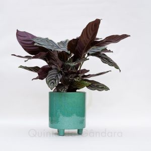 Vaso Ceramica 4 (5)