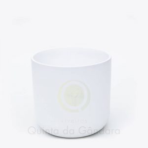 Vaso Sagres (1)