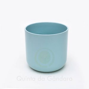 Vaso Sagres (11)