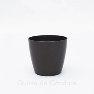 Vaso San Remo (4)