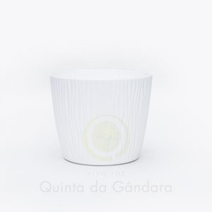 Vaso Sandy (4)
