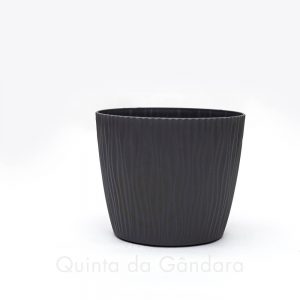 Vaso Sandy (6)
