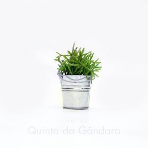 Vaso Zinco (1)